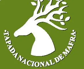 logo cascais
